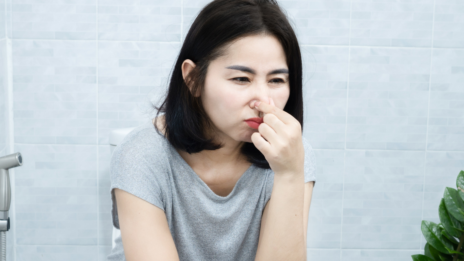 What It Means When Your Poop Smells Like Rotten Eggs – Health Digest
