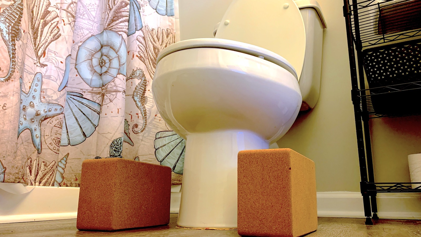 We Tried The Internet’s DIY Squatty Potty To Poop Instantly. Here’s How It Went – Health Digest
