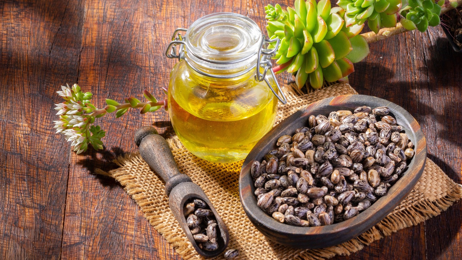 Can Castor Oil Help You Lose Weight? The Answer Is Messy – Health Digest