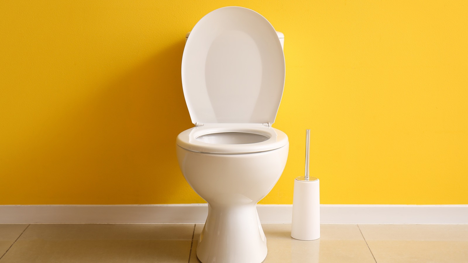 Should You Be Worried About Yellow Poop? Here’s What We Know – Health Digest