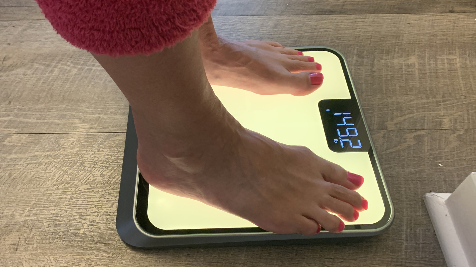 We Tried The RENPHO Smart Scale, And This Is What We Learned About Body Composition – Health Digest