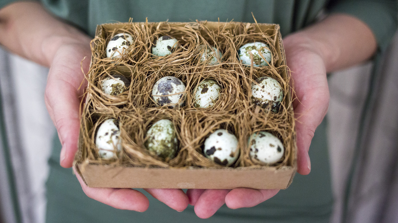 Are Quail Eggs Worth Buying For Their Nutritional Benefits? Here’s What We Found Out – Health Digest