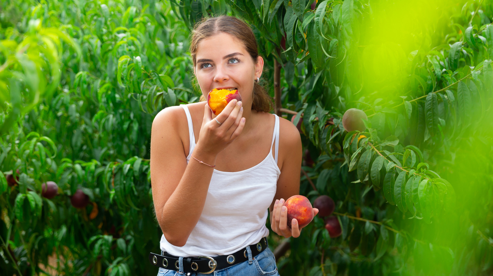 Eating This Low-Carb Summer Fruit May Also Prevent Cancer – Health Digest