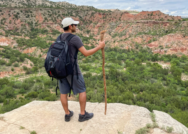 The Venom Of One Of Texas’s Most Dangerous Animals Can Damage Your Kidneys For Good – Health Digest