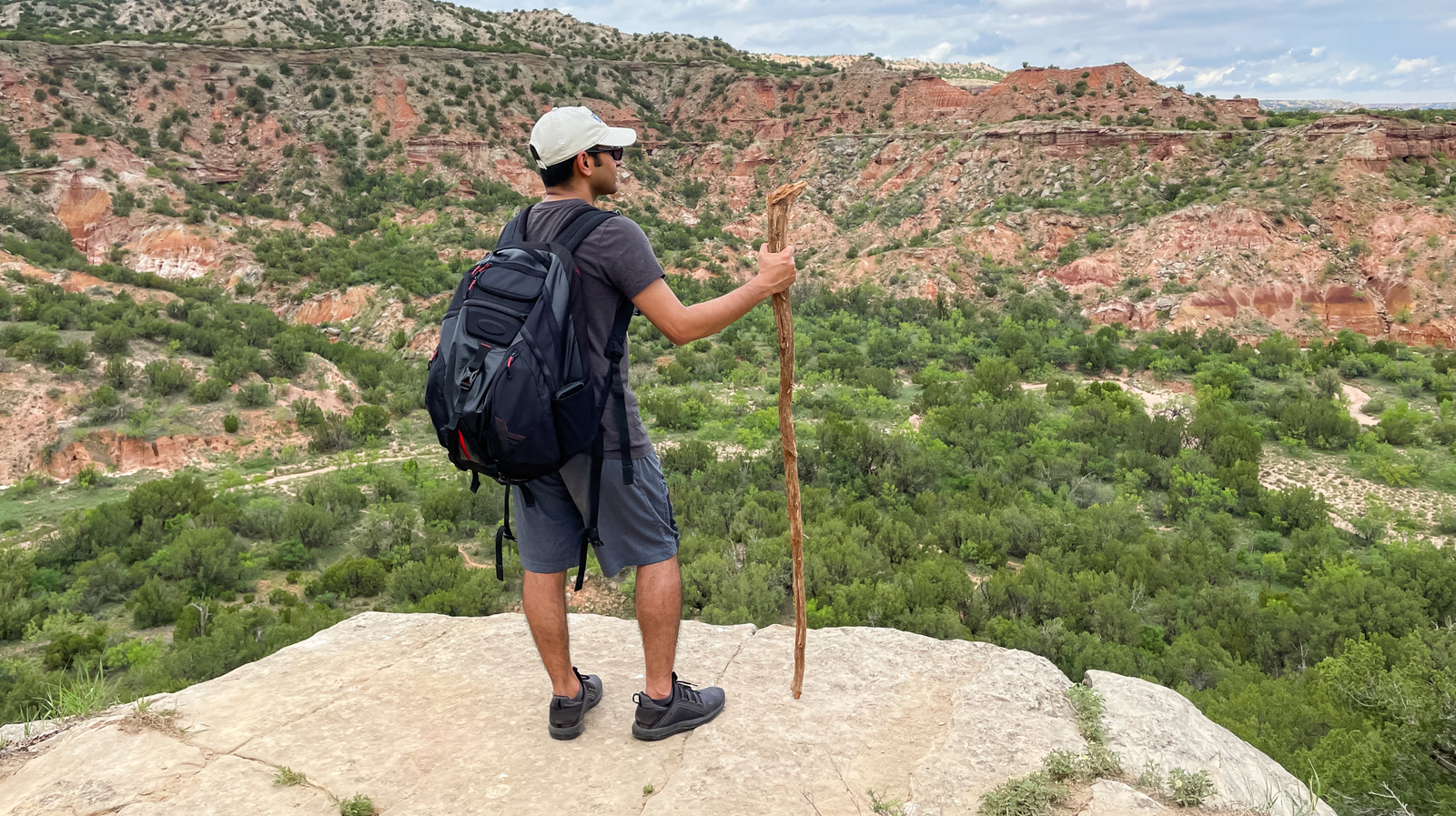 The Venom Of One Of Texas’s Most Dangerous Animals Can Damage Your Kidneys For Good – Health Digest