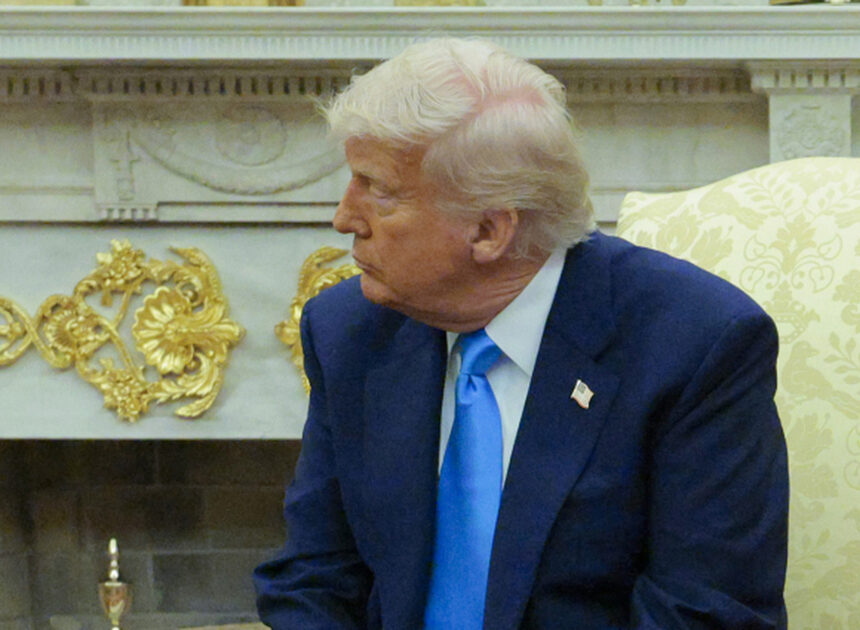 Could Trump’s Regular Bleach Jobs Be Contributing To Hair Loss? Here’s What We Know – Health Digest