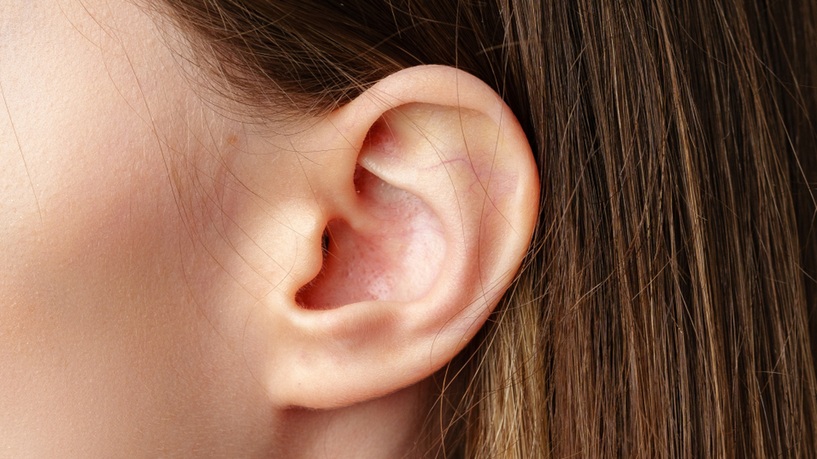 The Origin Of Human Ears Is Still Very Much A Mystery – Health Digest