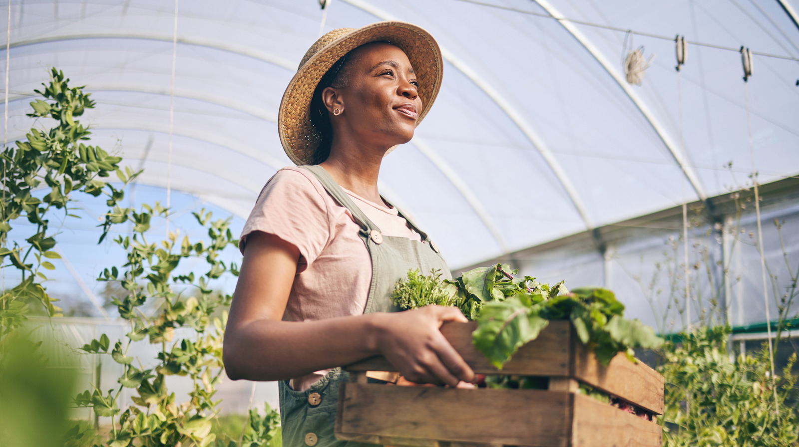 An Underrated Vegetable May Help Your Hair Grow And Manage Your Blood Pressure – Health Digest